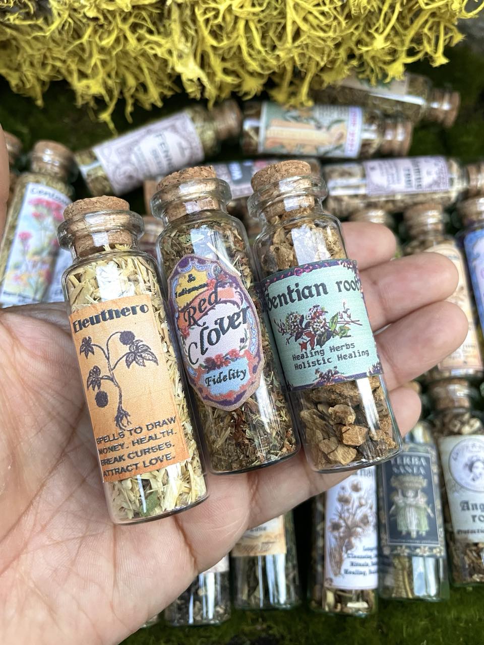 LOT HERBS JARS Amazing old labeled