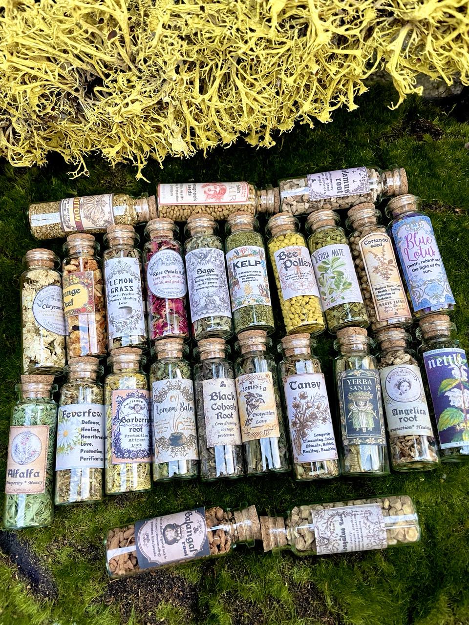 LOT HERBS JARS Amazing old labeled