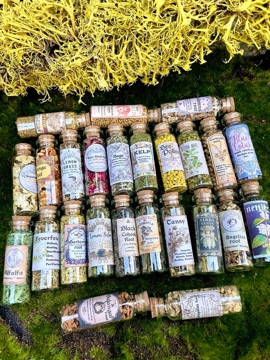 LOT HERBS JARS Nostalgia old labeled