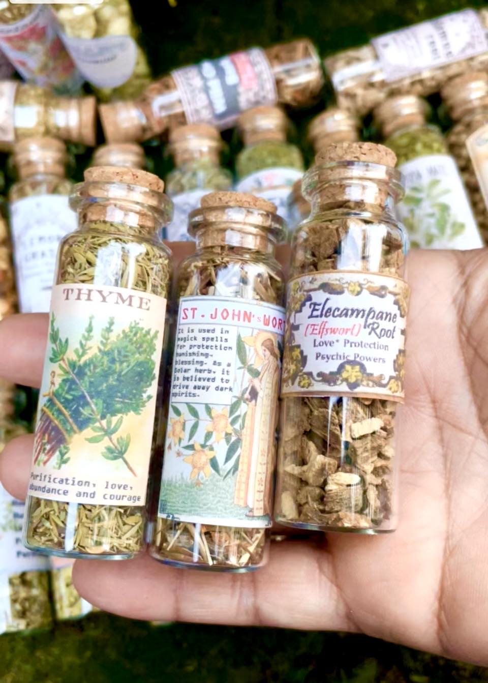 LOT HERBS JARS Amazing old labeled