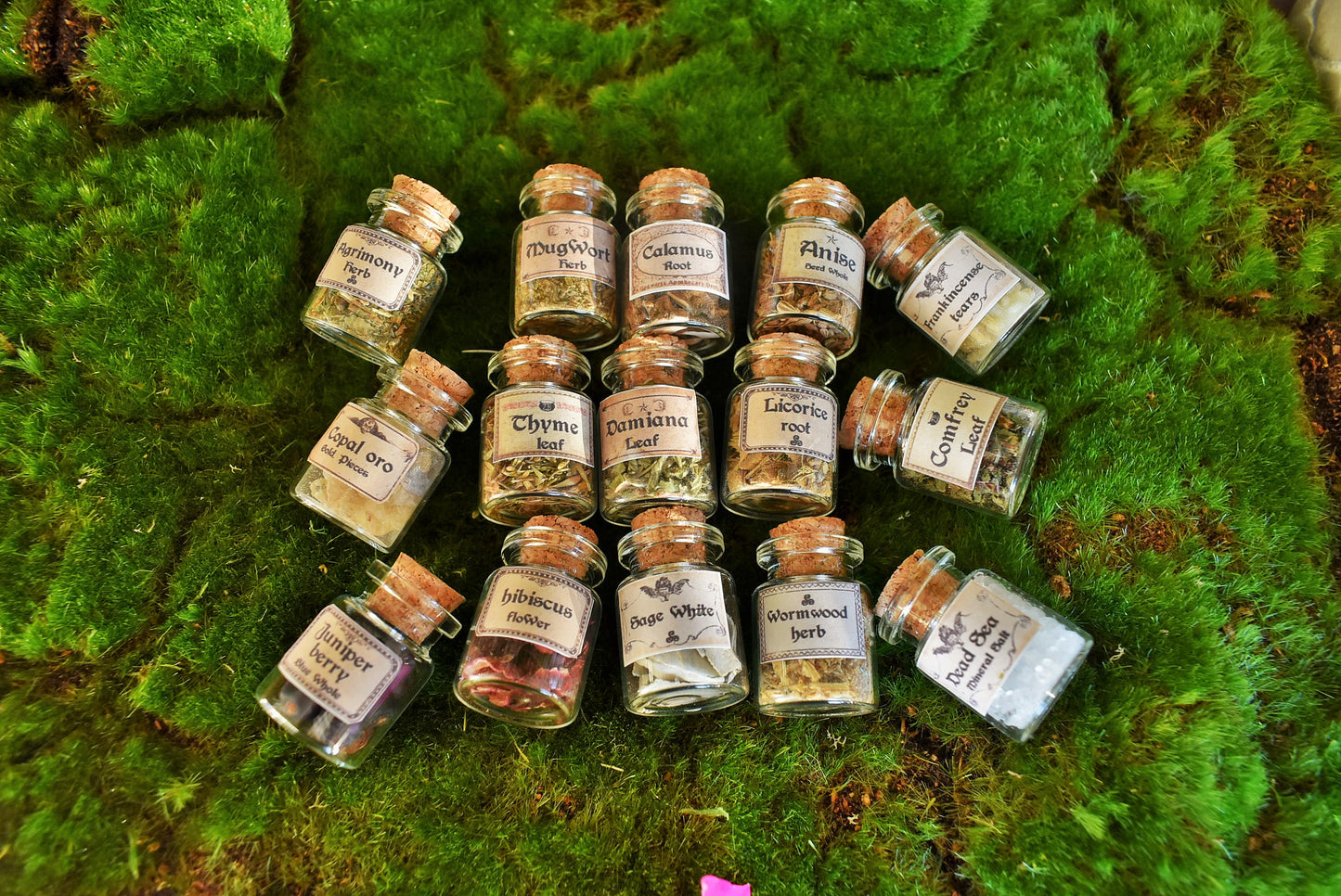 Miniature Apothecary Herb Set: 15 Mini jars Vintage Labeled
