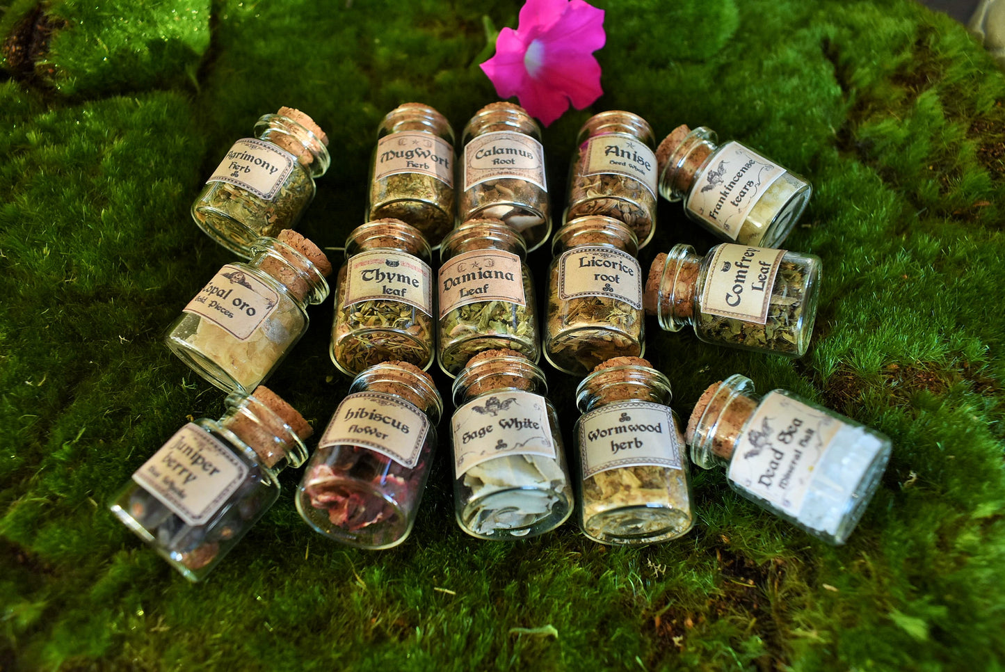 Miniature Apothecary Herb Set: 15 Mini jars Vintage Labeled