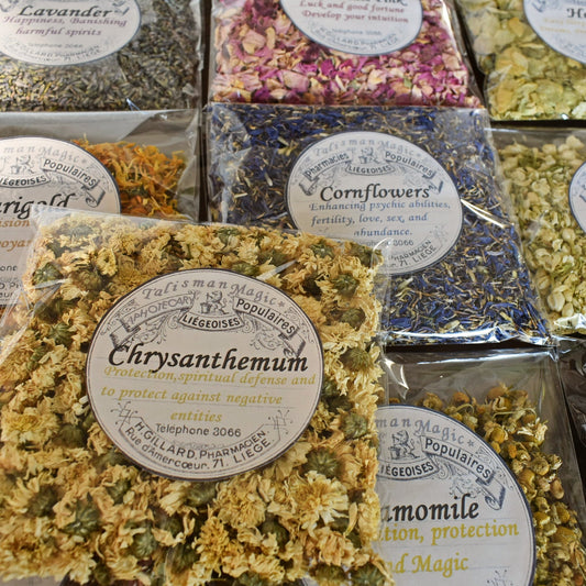 SET of TEN FLOWER BAGS ( dried flowers) 20 gr each one